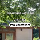 반곡포레스트