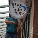 팔팔이네