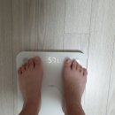 필약국 | 플로라필 후기 내돈내산, 직접 써본 리얼 변화 기록