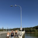 팜비치 | 골드코스트 러닝 코스 추천, 마이애미비치 to 벌리헤즈 (팜비치) 후기