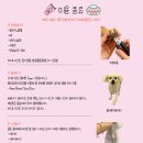 수수펫살롱 이미지