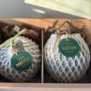 미자네 농장 이미지