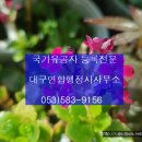 대구연합행정사사무소 이미지
