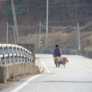 양떡음떡마을 이미지