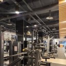 휴메이크 휘트니스 | 서초동 뱅뱅사거리 헬스장 꼼꼼한 PT후기 휴메이크휘트니스 강남점