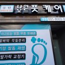 오드스테이 이미지