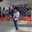동탄용인대국가대표태권도 이미지