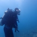 Bubble line 이미지