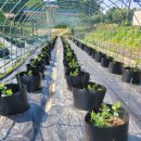 동환농장 이미지