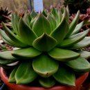 창전농장 이미지