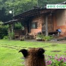 부여군 등경수약수터 이미지