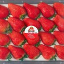 김승환 농장 이미지