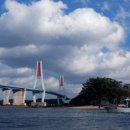 봄마중(2월에는) 이미지