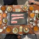 돈꼬라지 Daum카페