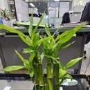 골드탑공인중개사사무소 이미지