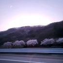 춘자네소금구이 이미지