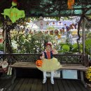 신나는 할로윈데이~"Trick or Treat!!"👻 이미지