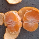 대보농장 이미지