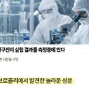 NK푸드 - 서구 | NK푸드