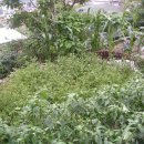 이화약국 이미지