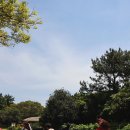 5월 제주 봄날씨 제주도 가족여행코스