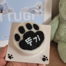 꼬숩당개 이미지