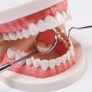 서울모두치과 이미지