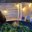 초록여울 캠핑장 이미지