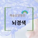 해솔요양병원
