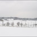 초원목장B 이미지