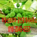 백자로부동산공인중개사사무소 이미지