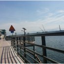 행복나무인테리어 이미지