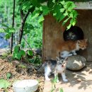 광전1리 이미지