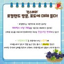 법인로컬랜드 이미지