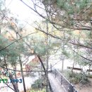 증산-006 이미지