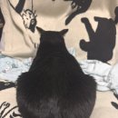 모텔알(R) | 가능성으로 나아가기 진동하기 품어 안기