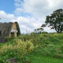 성샘목장 이미지