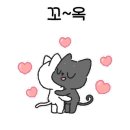 MJ피팅