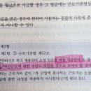 탄력적 근로시간제, 월급에 수당 포함 여부 이미지