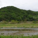 자등숯불갈비 이미지