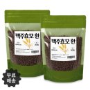 신비인터내셔널 이미지