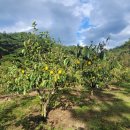 성진농장 이미지