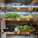 자연밥상 이미지