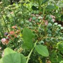 우석농장 이미지