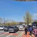 미사경정공원 | 수도권 벚꽃 명소 미사 경정공원 후기-4월 초 주말 근황.날씨.주차