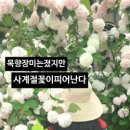 뮤지엄엔카페테리아 이미지