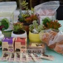 에버그린농장 이미지