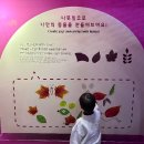 구미에코랜드생태숲 화장실 | 구미 아이 체험 명소, 구미에코랜드 솔직후기