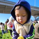 봉산농장 이미지