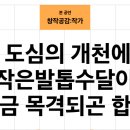 수달레져 이미지